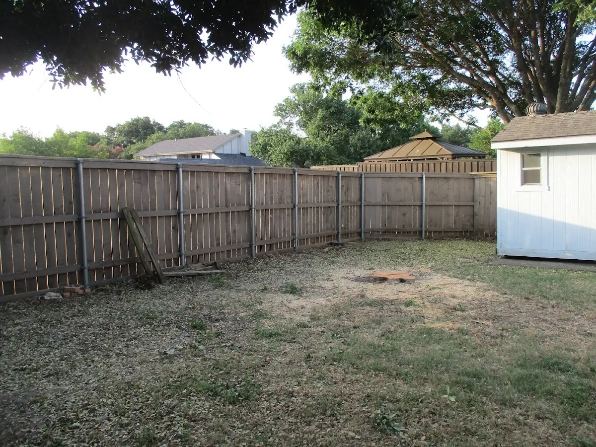 Cleared yard after professional tree removal in La Grange
